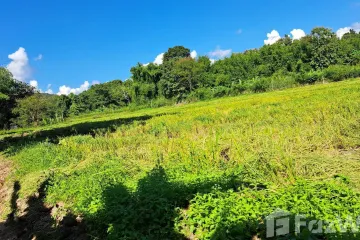 Land for sale in Mae Pong, Chiang Mai