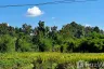 Land for sale in Mae Pong, Chiang Mai