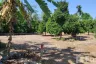 Land for sale in Samnak Thong, Rayong
