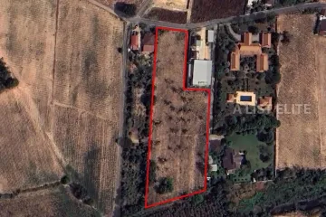 Land for sale in Pong, Chonburi