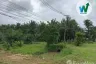 Land for sale in Tanot Duan, Phatthalung