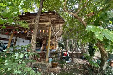 Land for sale in Nong Prue, Chonburi