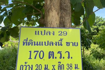 Land for sale in Nong Prue, Chonburi