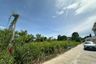 Land for sale in Nong Prue, Chonburi