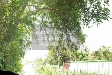 1 Bedroom Land for sale in Thung Bua, Nakhon Pathom