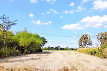 Land for sale in Nong Pla Lai, Chonburi