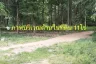 Land for sale in Cho Ho, Nakhon Ratchasima