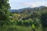 Land for sale in Thep Krasatti, Phuket