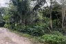Land for sale in Taling Ngam, Surat Thani