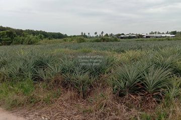 1 Bedroom Land for sale in Ao Noi, Prachuap Khiri Khan