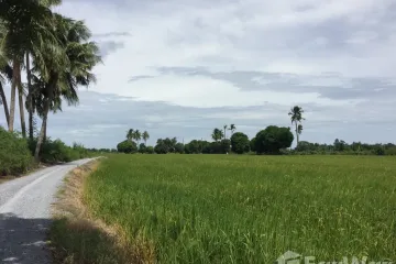 Land for sale in Rua Yai, Suphan Buri