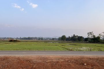 Land for sale in Pa Pong, Chiang Mai