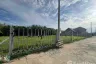 Land for sale in Buak Khang, Chiang Mai