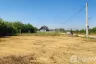 Land for sale in Buak Khang, Chiang Mai