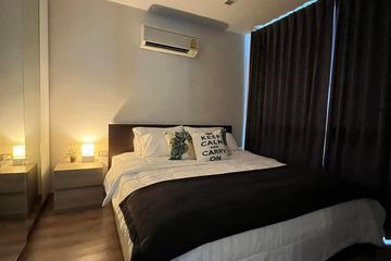 1 Bedroom Condo for rent in The ACE Ekamai, Khlong Tan Nuea, Bangkok near BTS Ekkamai