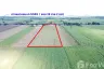 Land for sale in Chon Noi, Lopburi