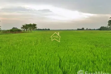 Land for sale in Ban Rai, Phitsanulok