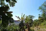 Land for sale in Karon, Phuket