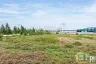 Land for sale in Phanthai Norasing, Samut Sakhon