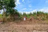 Land for sale in Na Mai, Pathum Thani