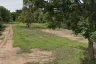 Land for sale in Khok Sung, Nakhon Ratchasima