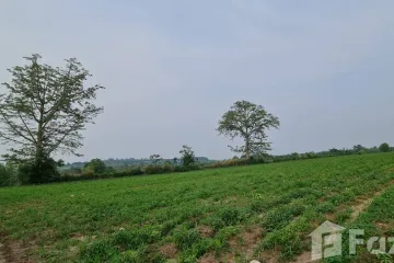 Land for sale in Nong Sarai, Nakhon Ratchasima