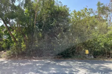 Land for sale in Pak Phriao, Saraburi