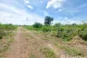 Land for sale in Na Mai, Pathum Thani