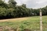 Land for sale in Nong Prue, Chonburi