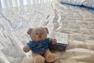 1 Bedroom Condo for rent in Noble Around Ari, Sam Sen Nai, Bangkok near BTS Ari