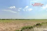 Land for sale in Nong Chak, Chonburi