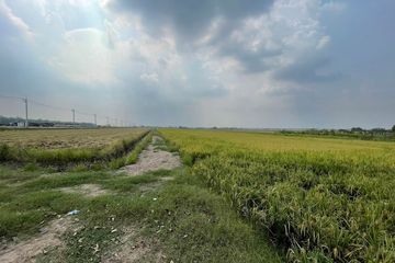 Land for sale in Lam Luk Ka, Pathum Thani