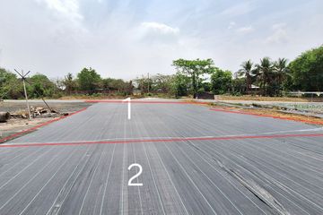 Land for sale in Han Kaeo, Chiang Mai