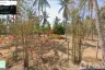 Land for sale in Khlong Wan, Prachuap Khiri Khan