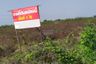 1 Bedroom Land for sale in Na Mai, Pathum Thani