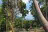 Land for sale in Santikhiri Estate, Na Mueang, Surat Thani
