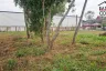 Land for sale in Na Jomtien, Chonburi