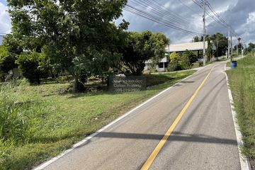1 Bedroom Land for sale in Wang Phong, Prachuap Khiri Khan