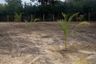 Land for sale in Na Kluea, Chonburi
