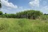 1 Bedroom Land for sale in Nong Saeng, Chainat