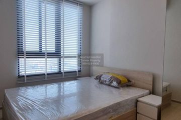 1 Bedroom Condo for rent in Nue Noble Ngamwongwan, Bang Khen, Nonthaburi