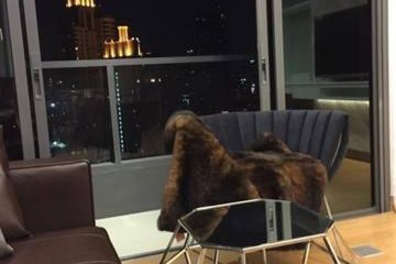 2 Bedroom Condo for rent in The Lumpini 24, Khlong Tan, Bangkok near BTS Phrom Phong