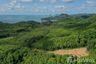 Land for sale in Ko Yao Noi, Phang Nga