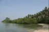 Land for sale in Ko Yao Noi, Phang Nga