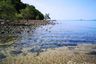 Land for sale in Ko Yao Yai, Phang Nga