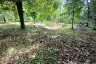 Land for sale in Tham Nam Phut, Phang Nga