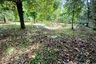 Land for sale in Tham Nam Phut, Phang Nga