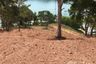 Land for sale in Ko Yao Yai, Phang Nga