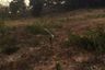 Land for sale in Ko Yao Yai, Phang Nga