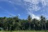 Land for sale in Ko Yao Yai, Phang Nga